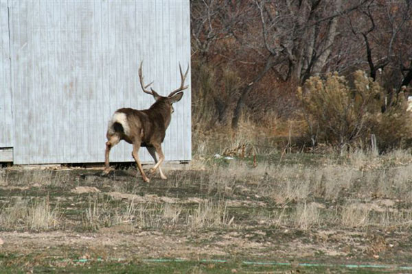 Jeremy Perkins - So. Utah 2006