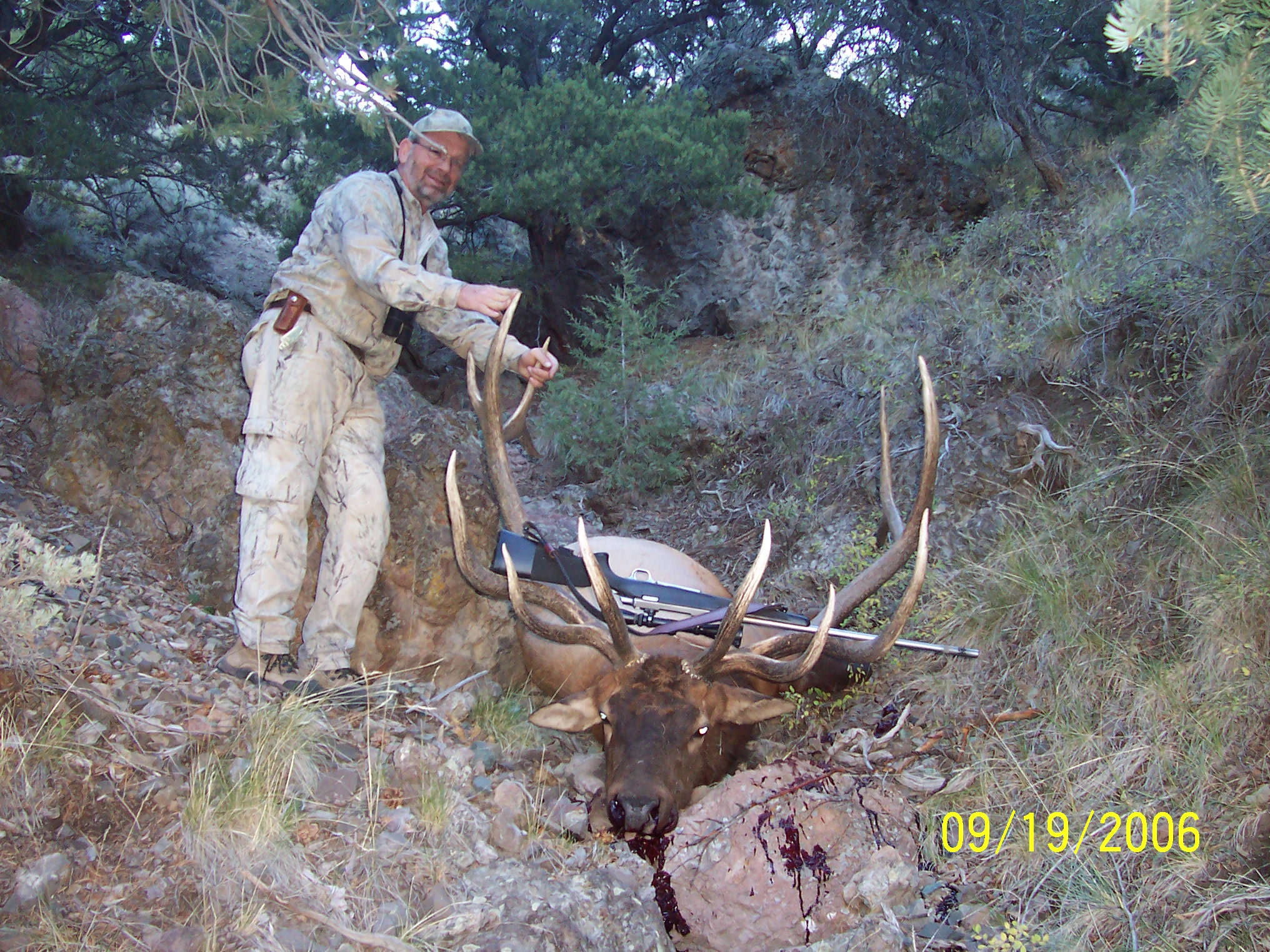 Neal and his bull