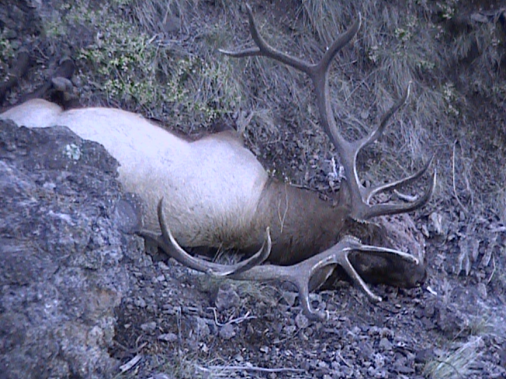 between a rock and a hard spot