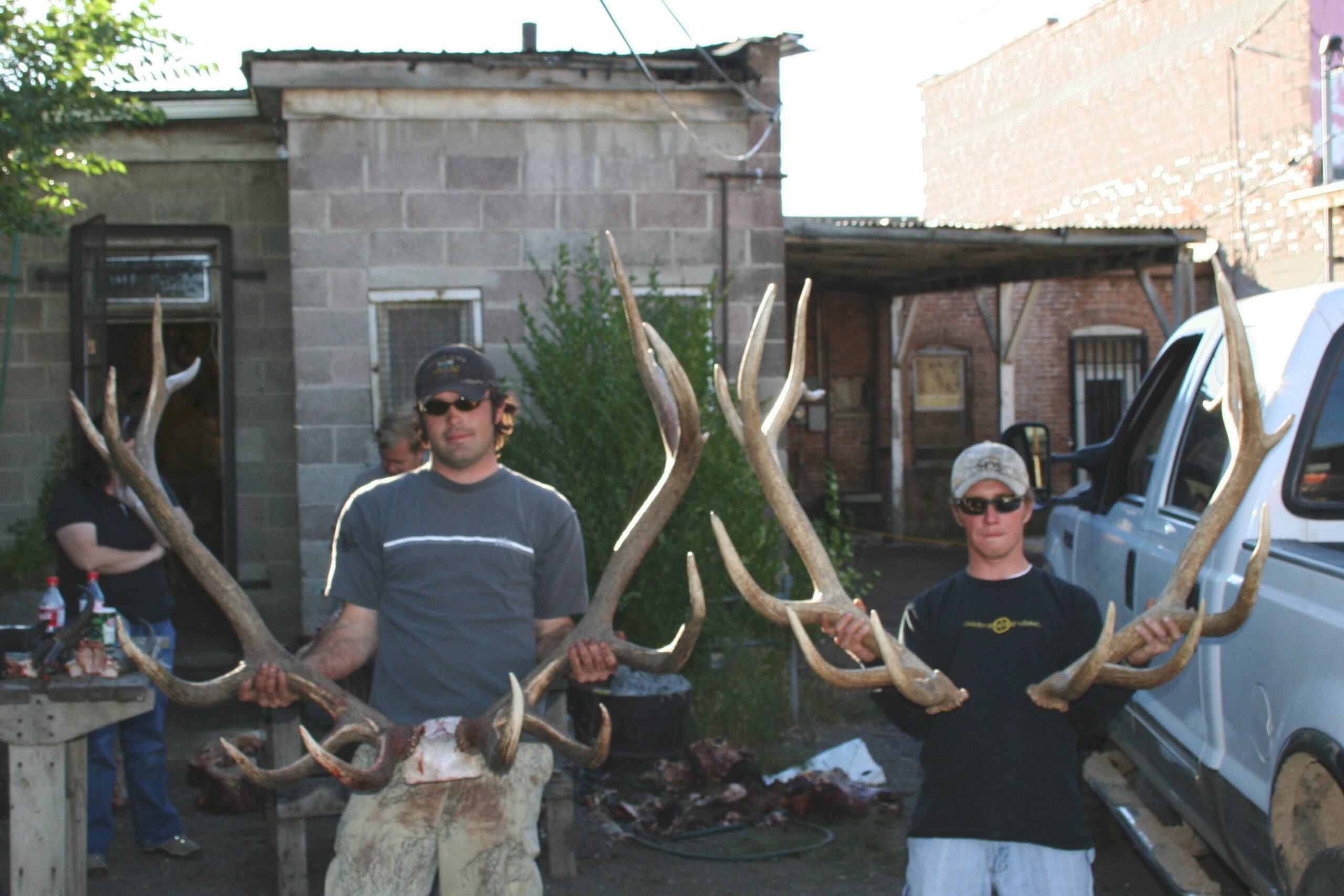 Neals Bull and the sheds from 2 years ago