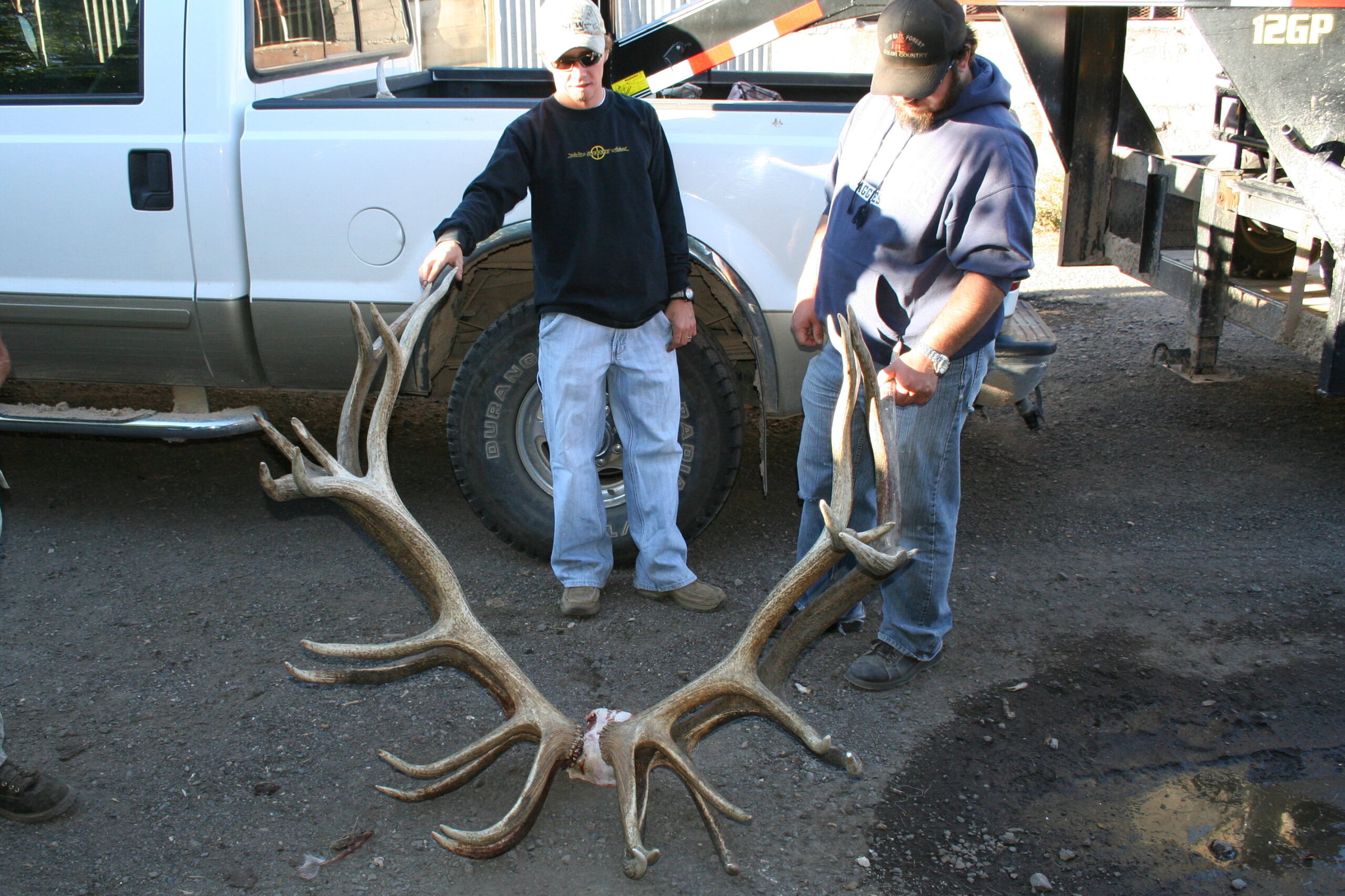 sheds from 2 years ago