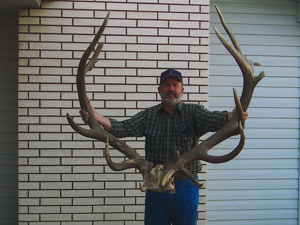 Southern Utah - (would have been state record except for broken tines)