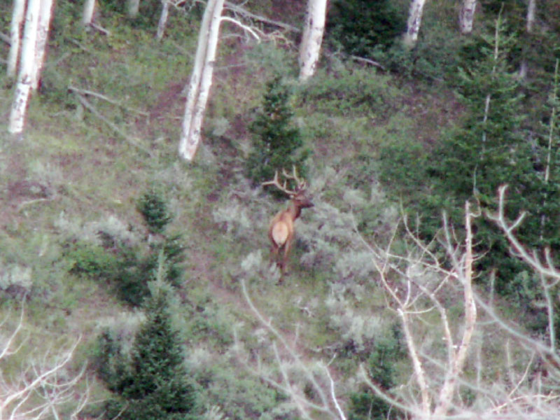 David Doporto Jr., Wyoming, 2007