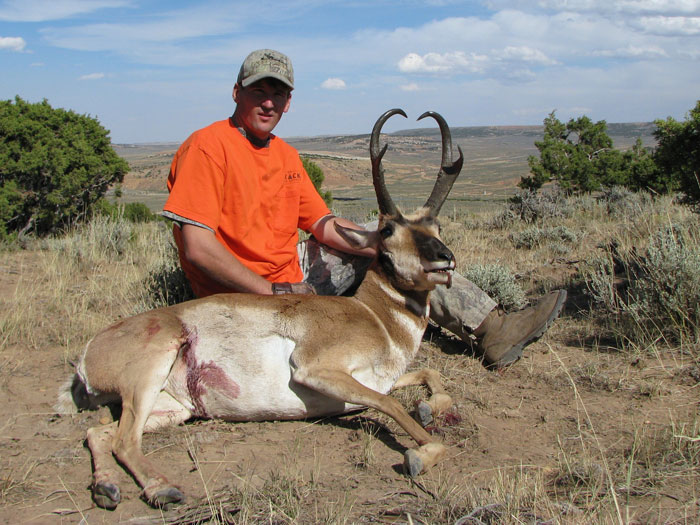 Travis - 16&amp;quot; goat 80 1/4 - Wyoming