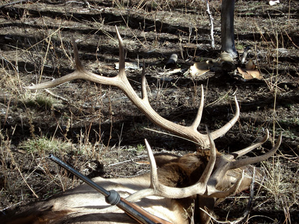 David Doporto Jr. - Wyoming 2007