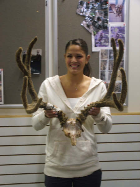 Crystel Carriedo&#039;s 2007 Archery buck in Northern Utah