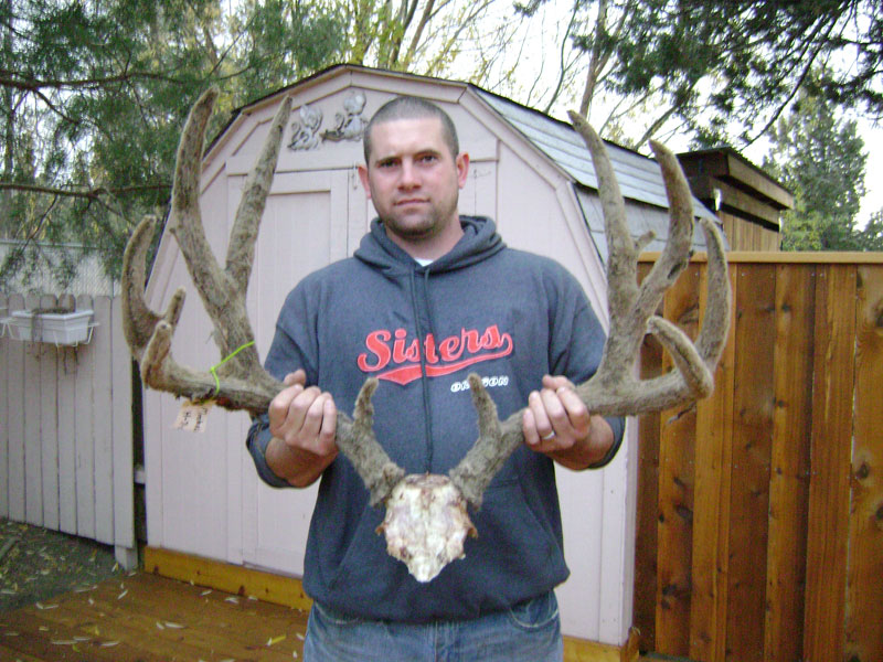 POSSIBLE OREGON STATE RECORD TYPICAL MULE DEER,ARCHERY