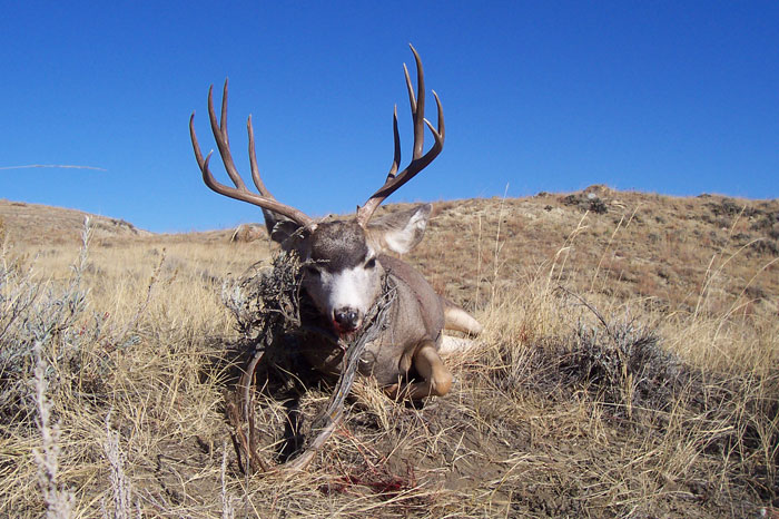 Gunnar Smith - 2007 Montana Muley