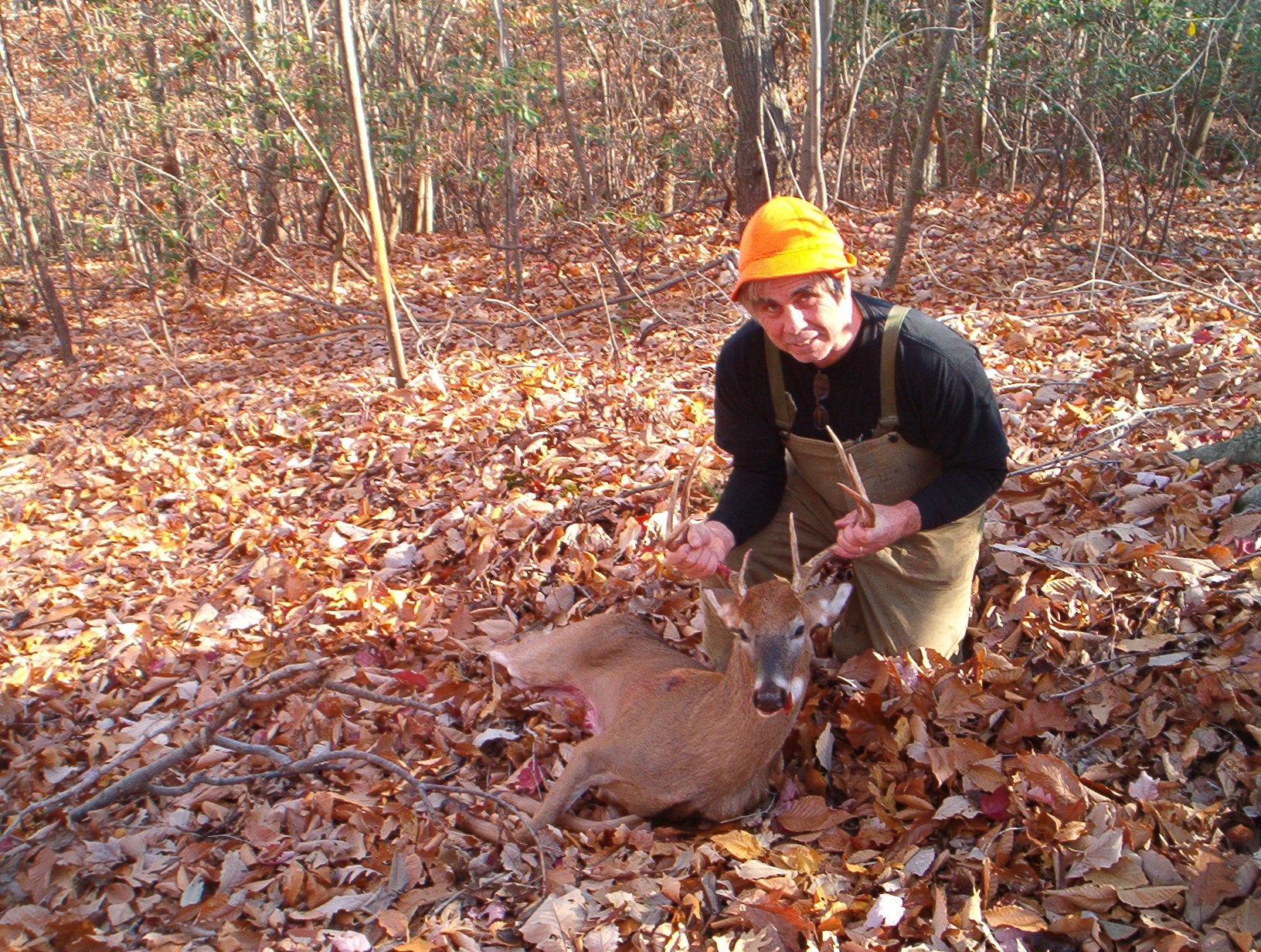 pat&#039;s deer 12-01-07 001