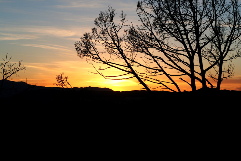 Sunset Pine Vally Mtn. - 2005