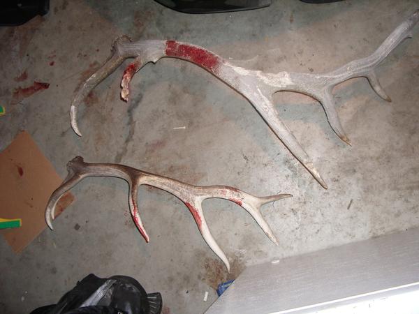 9 point and 6 point shed