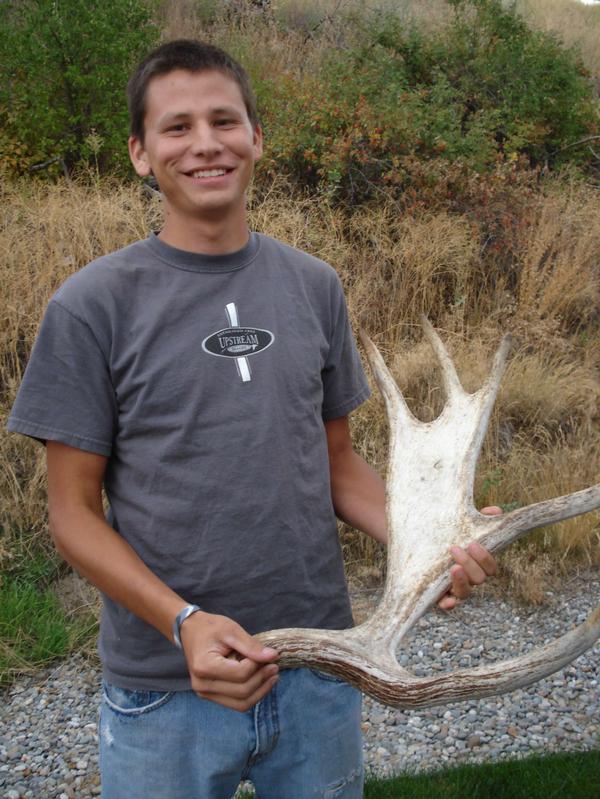 moose shed