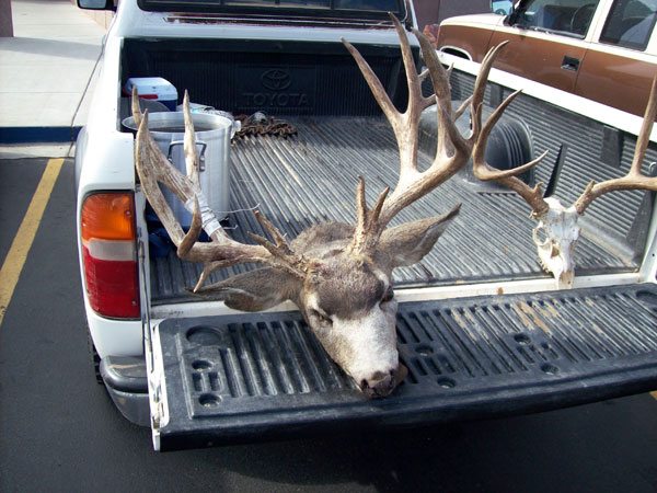 So. Utah Muzzleloader 2008