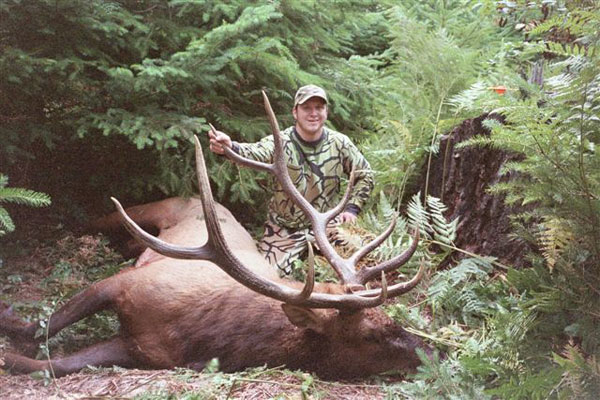 Eric Koegler - Roosevelt Elk Western Oregon