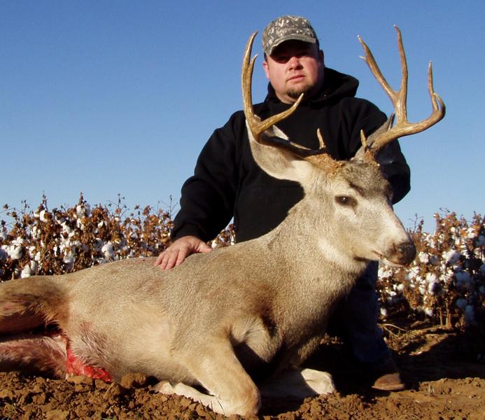 Texas Muley