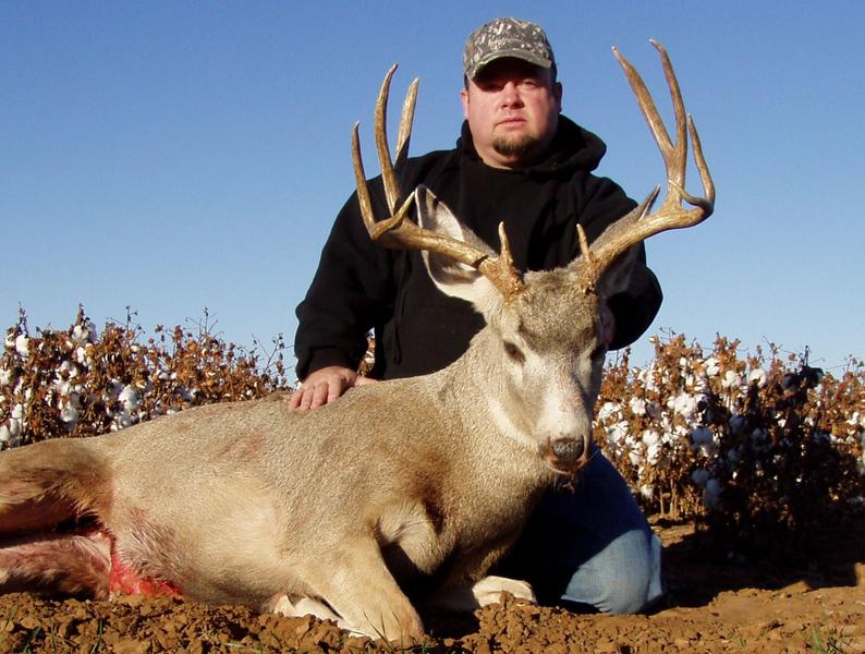 Texas Muley 