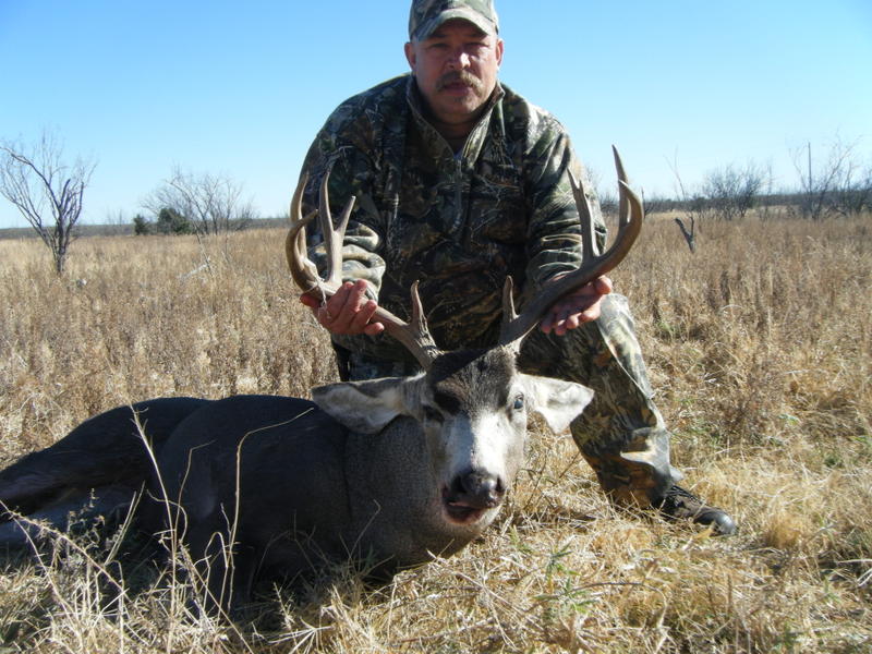 Texas Muley