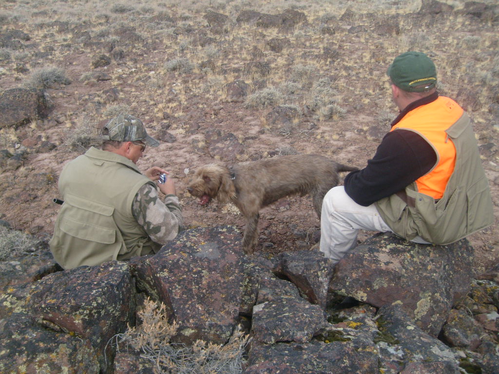 Sage Hen Hunt Oct 08