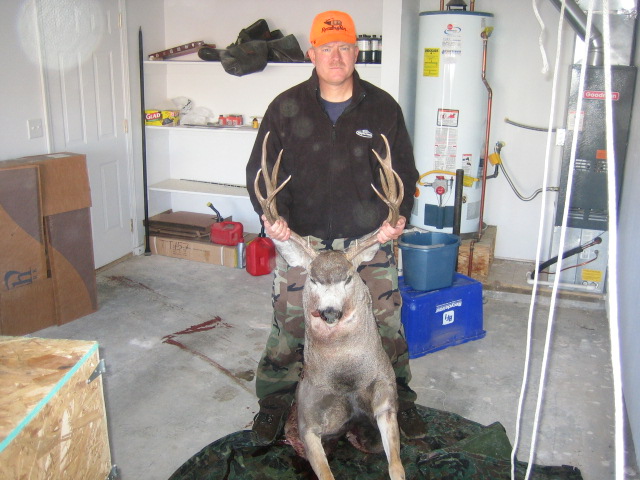 My Idaho Deer