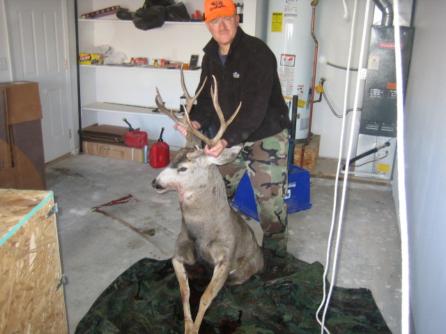 My Idaho Deer 2