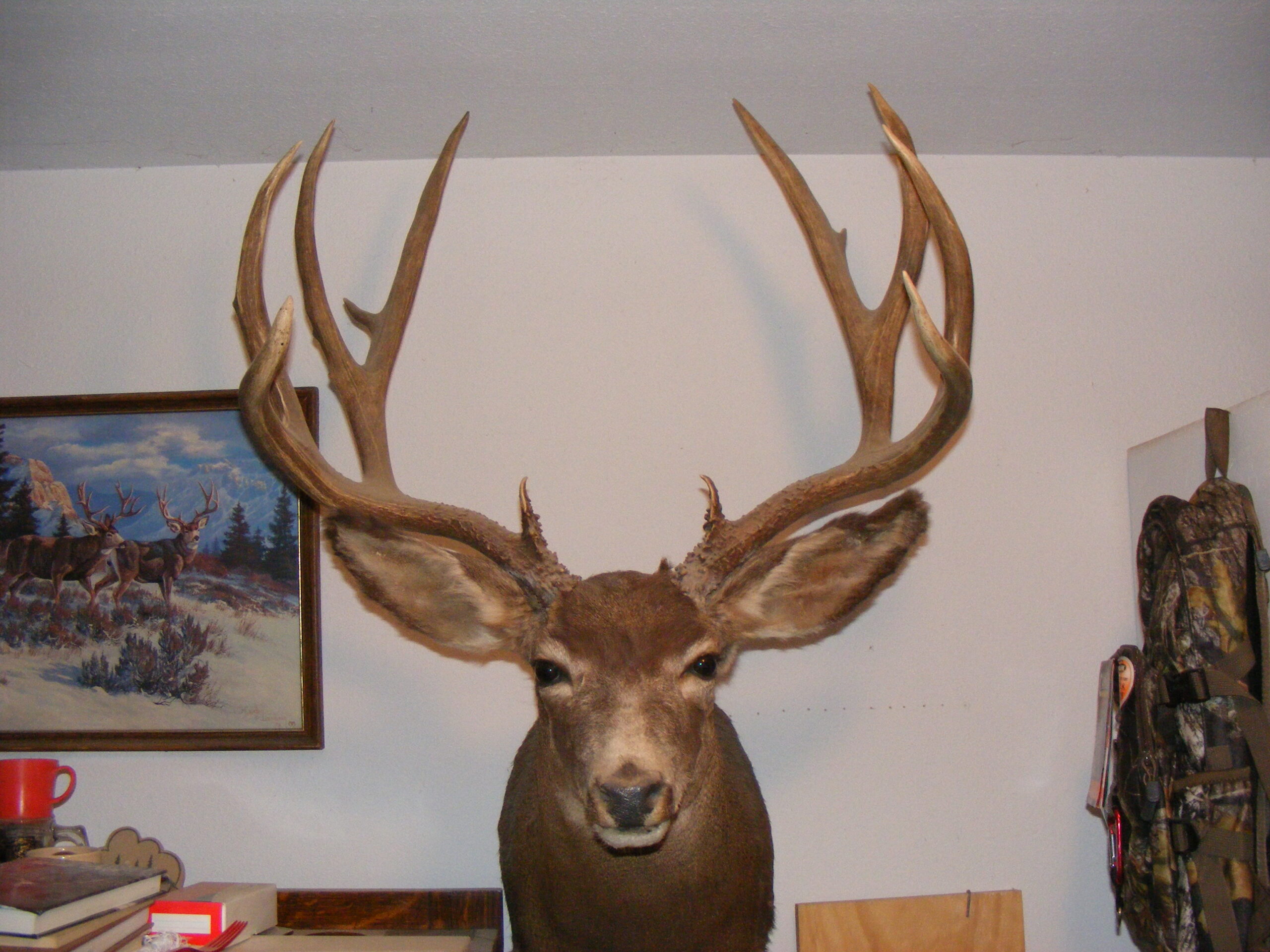 Ron Baird Mule Deer