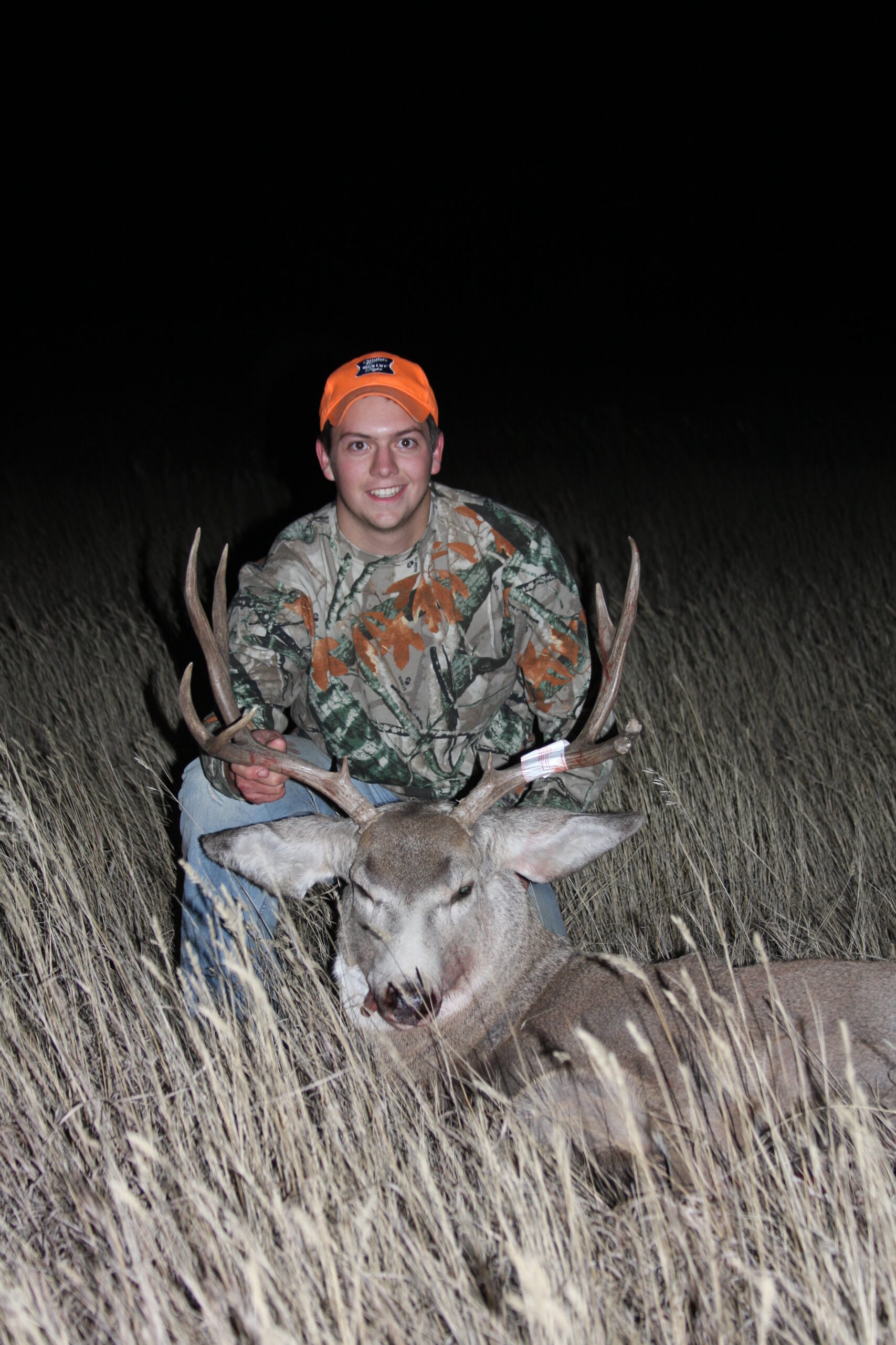 09 Mule deer