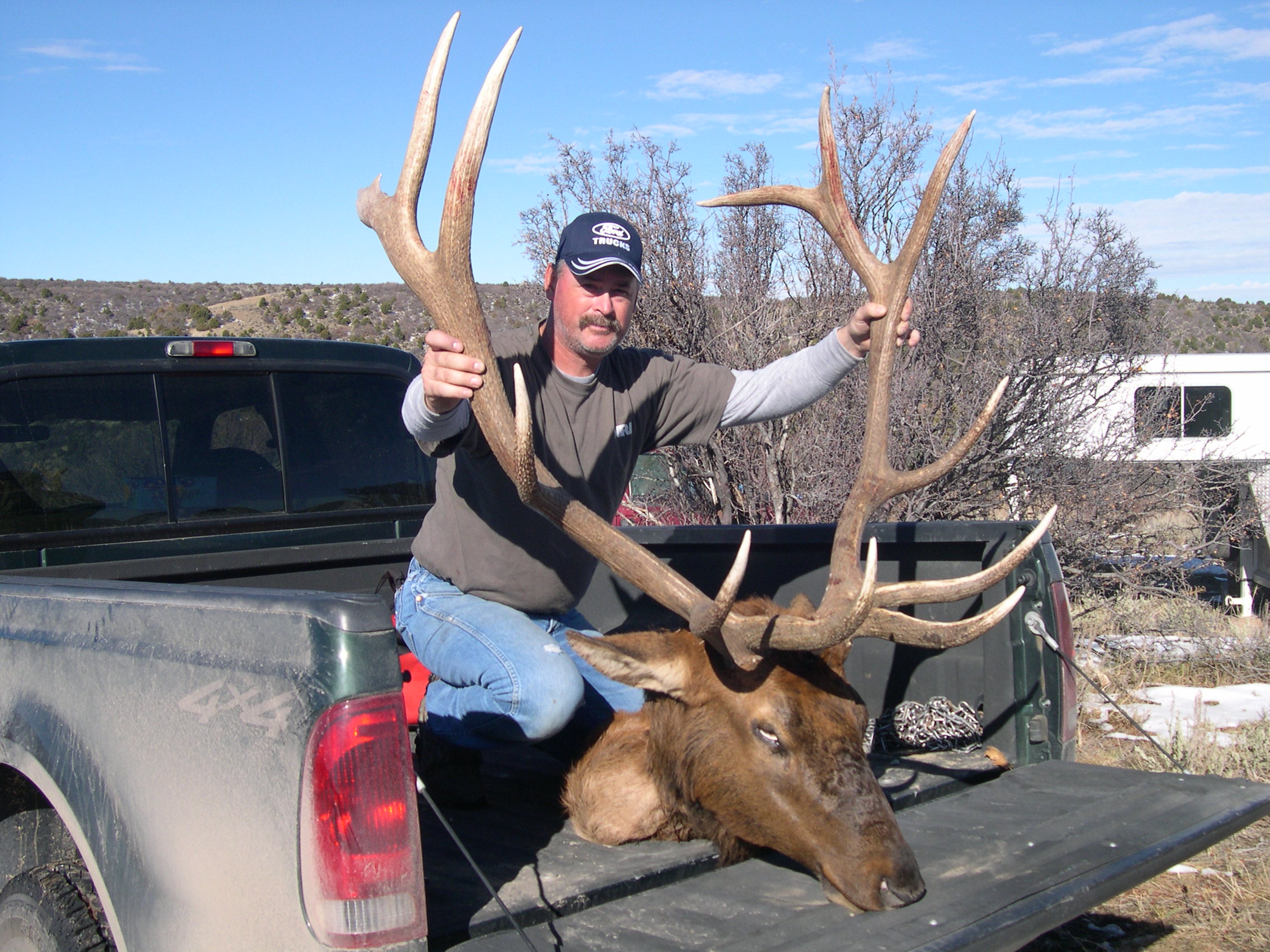 333 colorado bull