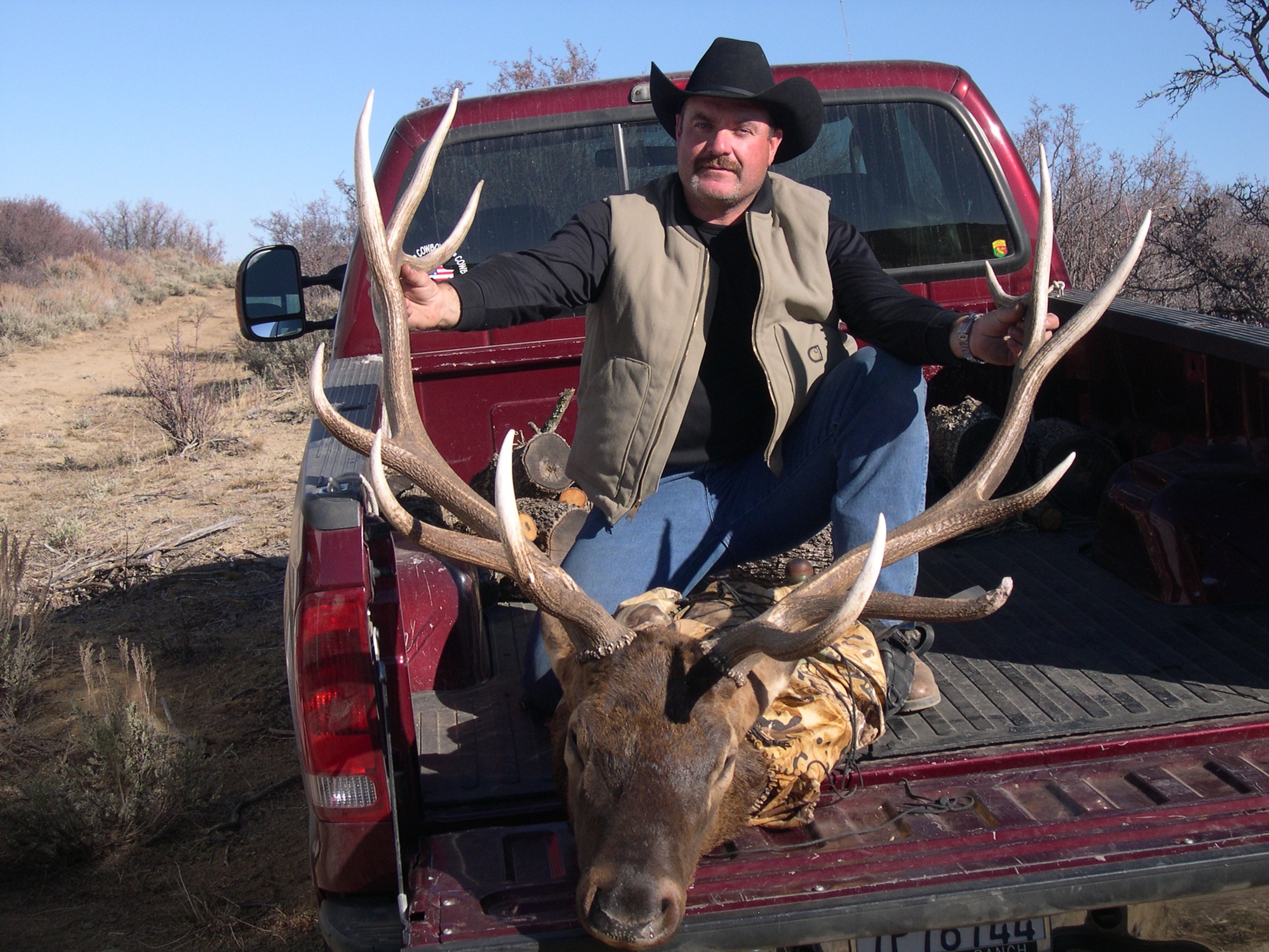 320 colorado bull