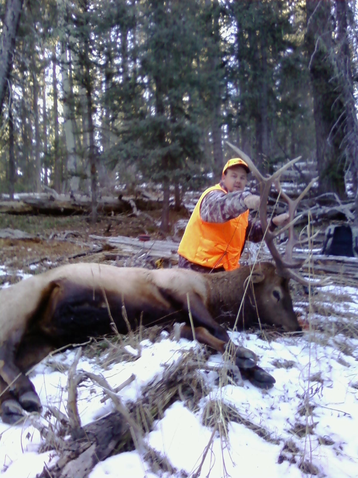 bjs first bull