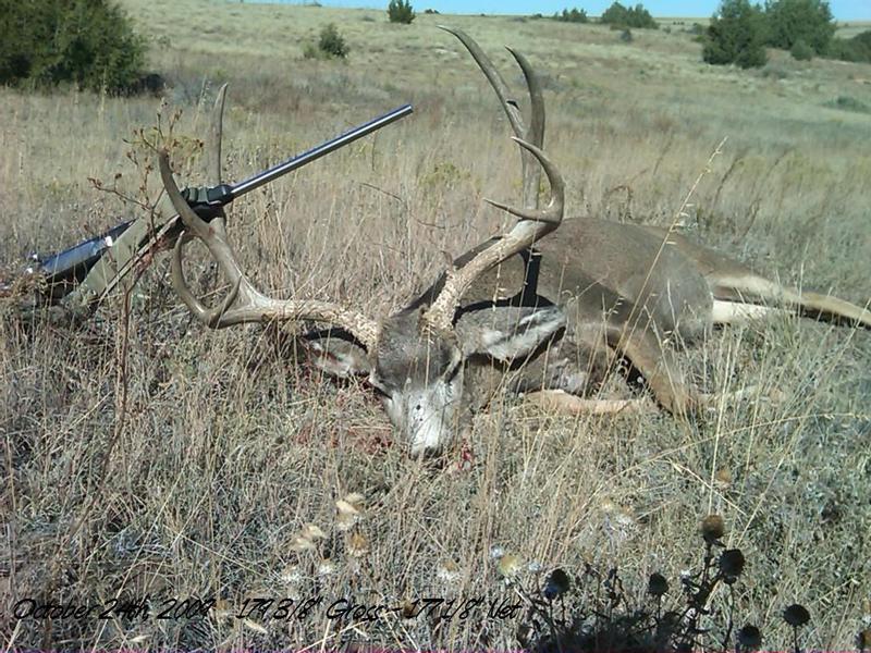 29&amp;quot; 5x5 Mulie, 178 1/8&amp;quot; Net 