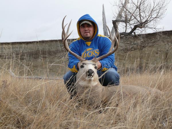 Zak&#039;s  mule Deer