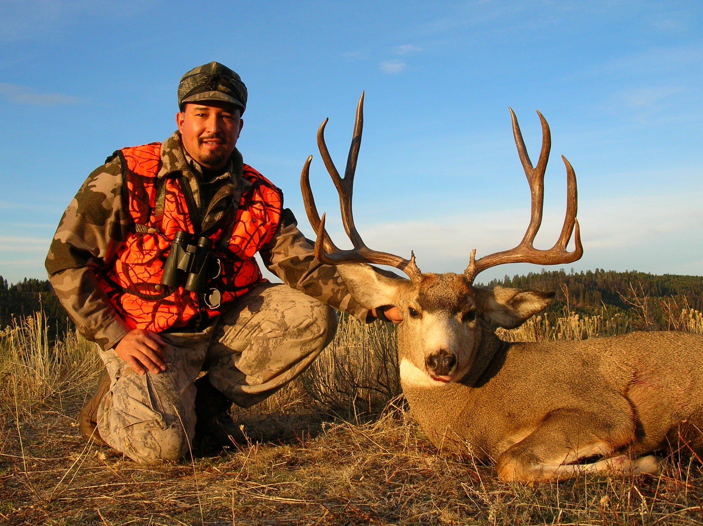 Montana Mule Deer