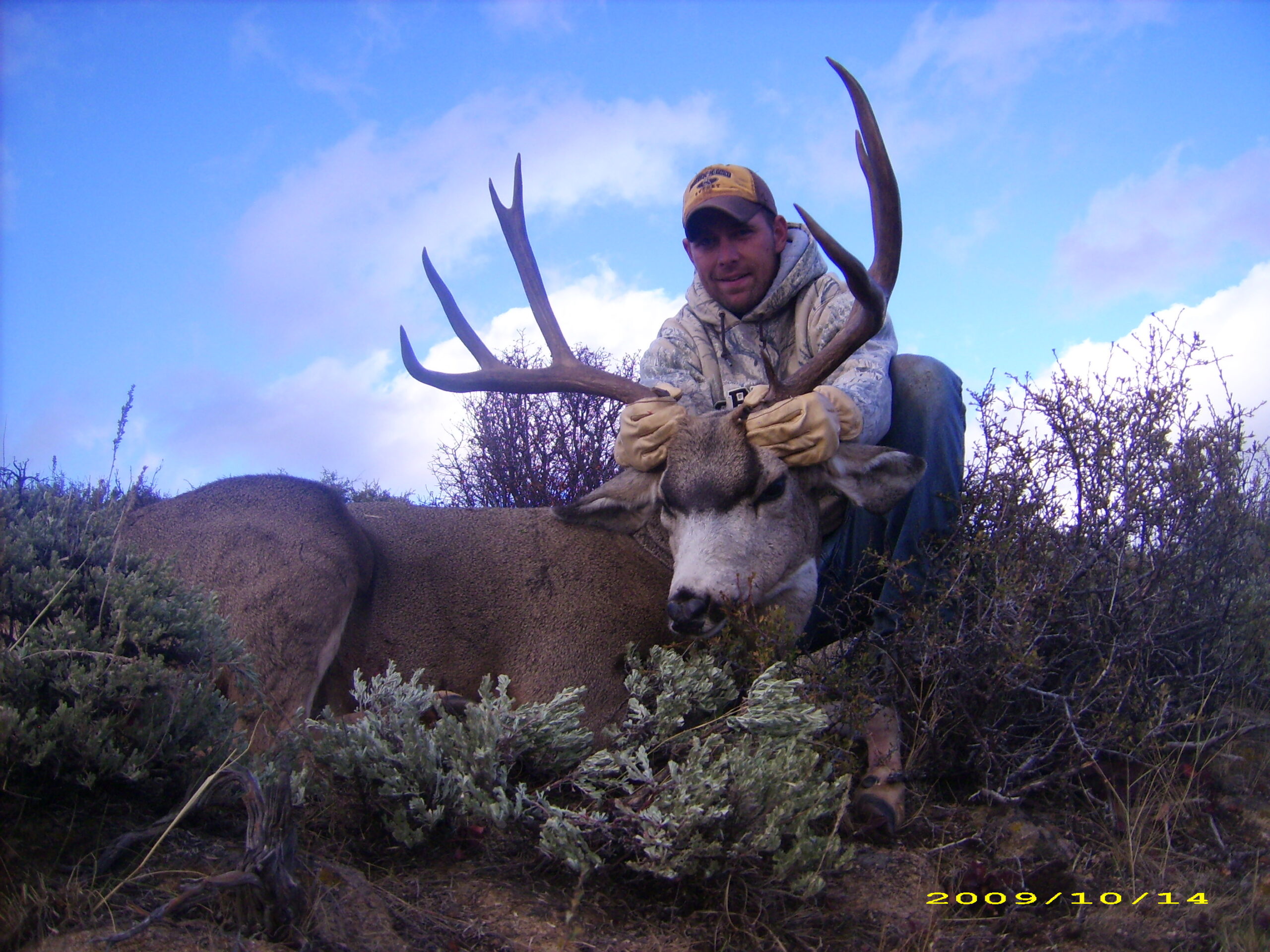 2009 Wyoming Muley