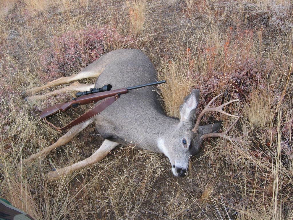 06 hunt...first deer