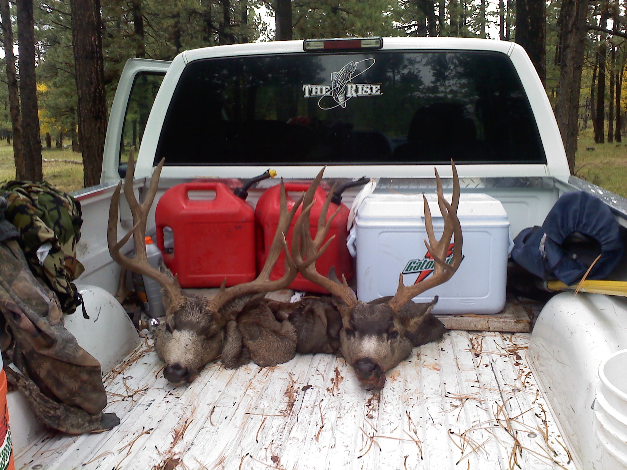 2010 Southern Utah Muley