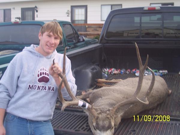 Montana Mule deer