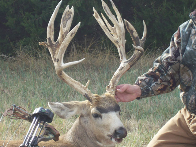 Brandon Mazanec - Gross 222&amp;quot; Kansas