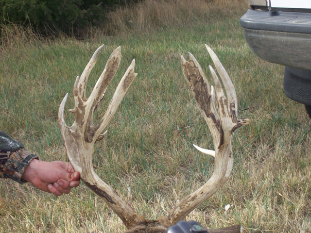 Brandon Mazanec - Gross 222&amp;quot; Kansas