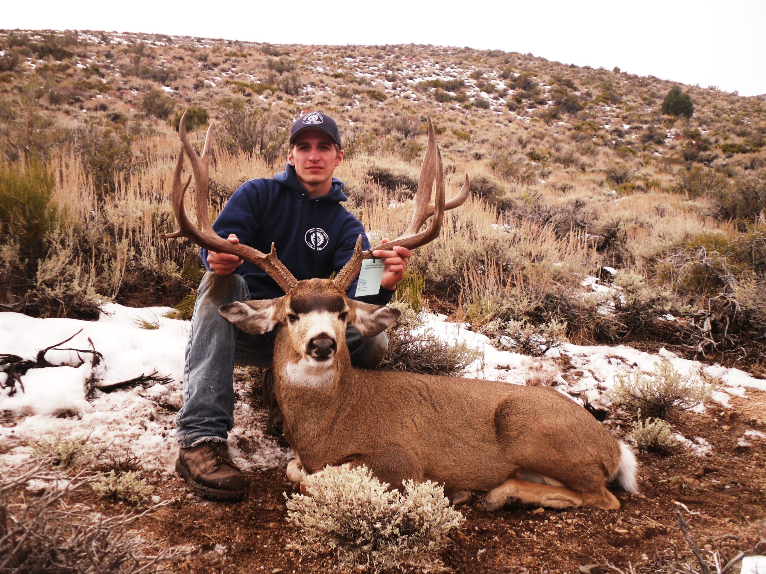 California Buck