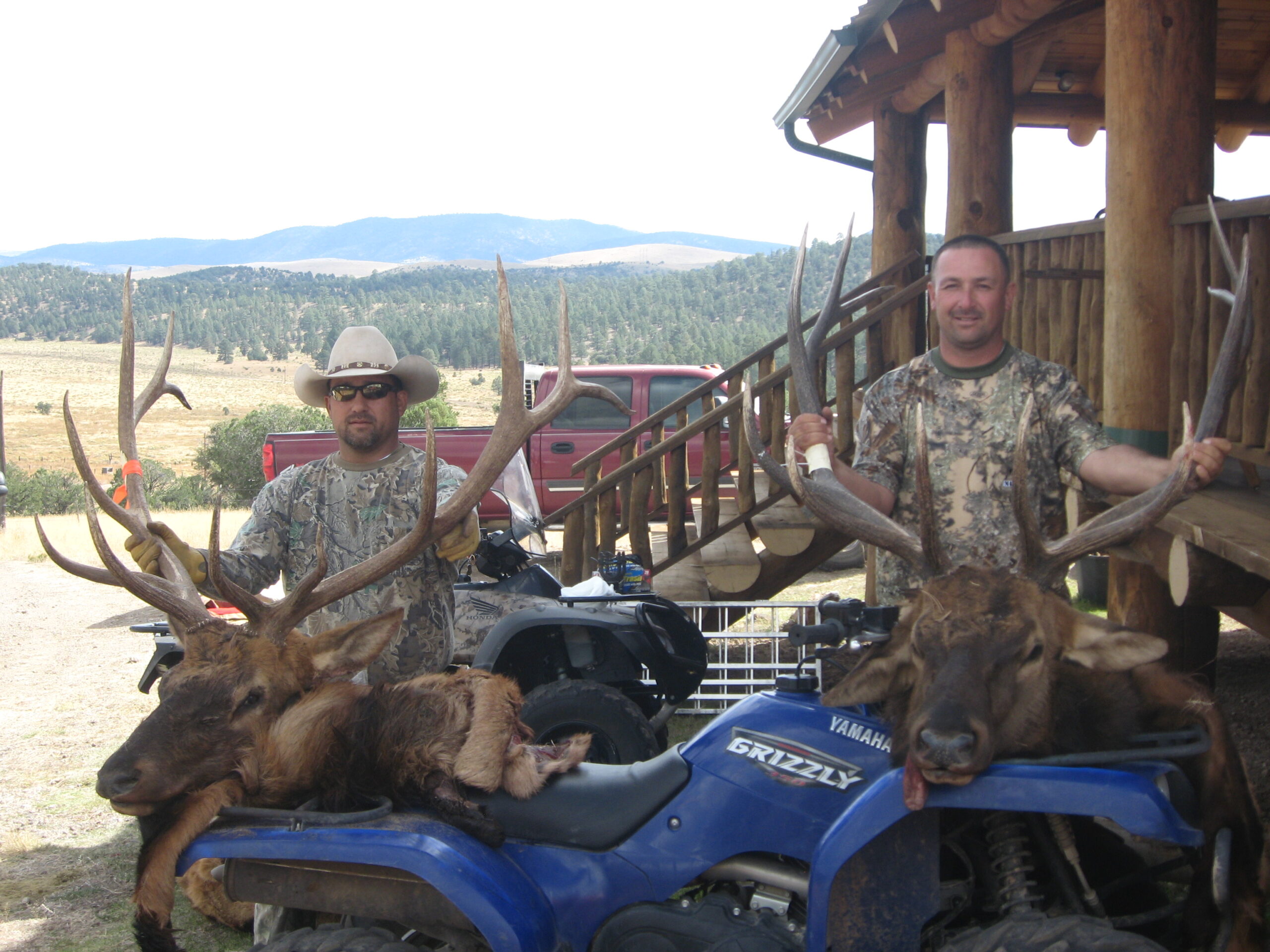 Brothers NM bulls