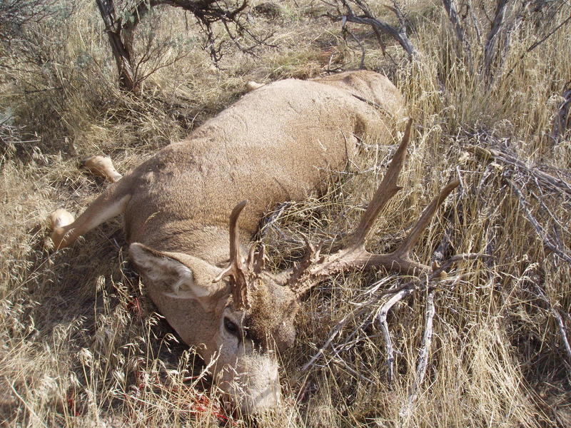 Gary&#039;s unique Washington buck