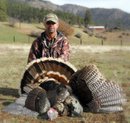 2011 gobbler