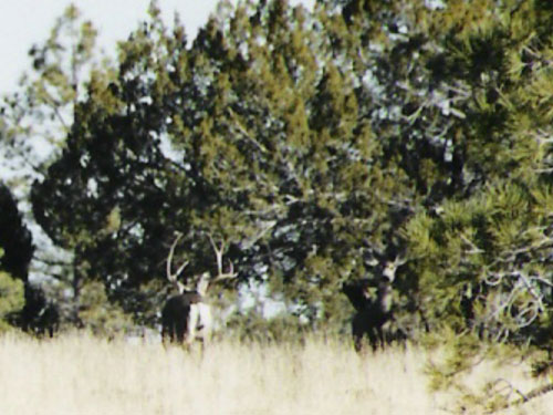 Joseph, Northern Arizona