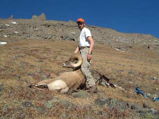 Wyoming BigHorn Sheep.  Killed by Cal Walker, age 18, non-guided.  See our &amp;quot;Stories&amp;quot; section for more pictures and inf