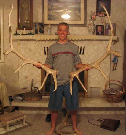 Dallin&#039;s Elk sheds.
	