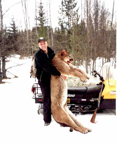 Dale Michie took this cougar from Interior of B.C. in January 2001.