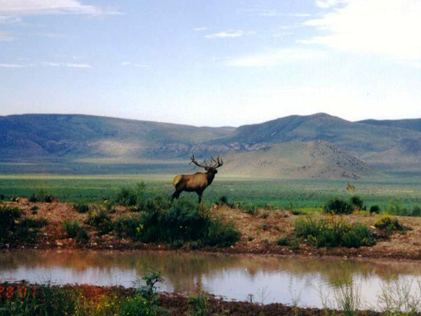 &amp;quot;La Palma&amp;quot; ranch in Muzquiz, Mexico