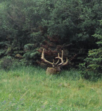 Steve James, 4 days before archery opener.