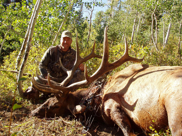 I took this bull in Utah this year with my p.s.e mach 12 bow it scored 340.