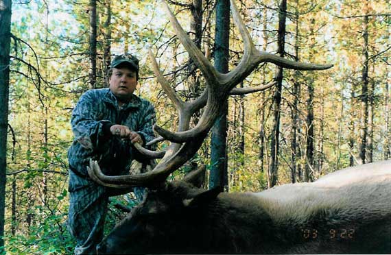 7x6 Bull taken in Castlegar, British Columbia.